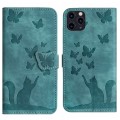 For iPhone 11 Pro Butterfly Cat Embossing Flip Leather Phone Case(Wathet)