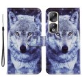 For Honor 90 Pro Painted Pattern Horizontal Flip Leather Phone Case(White Wolf)