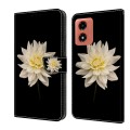 For Motorola Moto G Play 2024 Crystal 3D Shockproof Protective Leather Phone Case(White Flower)