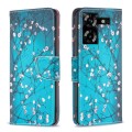 For Tecno Pova 5 Colored Drawing Pattern Leather Phone Case(Plum Blossom)