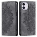 For iPhone 12 mini Totem Embossed Magnetic Leather Phone Case(Grey)