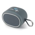 T&G TG662 Portable Subwoofer Wireless Bluetooth Speaker(Grey)