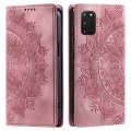 For Samsung Galaxy S20 Totem Embossed Magnetic Leather Phone Case(Rose Gold)