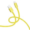 hoco BX95 Vivid 60W USB-C / Type-C to Type-C Silicone Charging Data Cable(Gold)