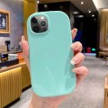 For iPhone 12 Pro Max Glossy Soap Shape TPU Phone Case(Green)