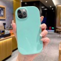 For iPhone 13 Pro Glossy Soap Shape TPU Phone Case(Green)