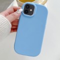 For iPhone 11 Frosted Soap Shape TPU Phone Case(Blue)