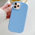 For iPhone 11 Pro Frosted Soap Shape TPU Phone Case(Blue)
