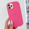 For iPhone 11 Pro Max Frosted Soap Shape TPU Phone Case(Rose Red)