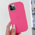 For iPhone 12 Pro Frosted Soap Shape TPU Phone Case(Rose Red)