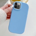 For iPhone 12 Pro Frosted Soap Shape TPU Phone Case(Blue)