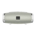 Borofone BR3 Boyun Sports Bluetooth 5.0 Speaker(Grey)