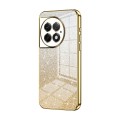 For OnePlus Ace 2 Pro Gradient Glitter Powder Electroplated Phone Case(Gold)
