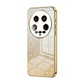 For Xiaomi 14 Ultra Gradient Glitter Powder Electroplated Phone Case(Gold)