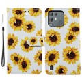 For Blackview A55 Pro Painted Pattern Horizontal Flip Leather Phone Case(Sunflower)