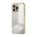 For iPhone 15 Pro Max Transparent Plating Fine Hole Phone Case(Gold)