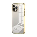 For iPhone 13 Pro Max Transparent Plating Fine Hole Phone Case(Gold)