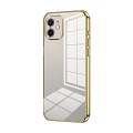 For iPhone 12 Transparent Plating Fine Hole Phone Case(Gold)