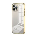For iPhone 12 Pro Max Transparent Plating Fine Hole Phone Case(Gold)