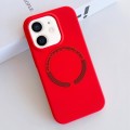 For iPhone 11 MagSafe Magnetic Liquid Silicone Phone Case(Red)