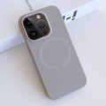 For iPhone 12 Pro Max MagSafe Magnetic Liquid Silicone Phone Case(Grey)