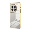 For OnePlus 11 Transparent Plating Fine Hole Phone Case(Gold)