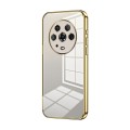 For Honor Magic4 Transparent Plating Fine Hole Phone Case(Gold)