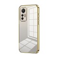 For Xiaomi 12 Lite Transparent Plating Fine Hole Phone Case(Gold)