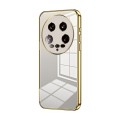 For Xiaomi 14 Ultra Transparent Plating Fine Hole Phone Case(Gold)