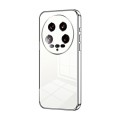 For Xiaomi 14 Ultra Transparent Plating Fine Hole Phone Case(Silver)