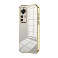 For Xiaomi Redmi K50 Ultra / Xiaomi 12T Transparent Plating Fine Hole Phone Case(Gold)