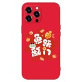 For iPhone 12 Pro New Year Red Silicone Shockproof Phone Case(Fish Dragon Gate)