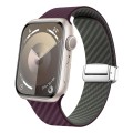 For Apple Watch SE 2023 40mm Carbon Fiber Magnetic Silver Buckle Watch Band(Purple Green)