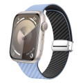 For Apple Watch SE 2022 44mm Carbon Fiber Magnetic Silver Buckle Watch Band(Light Blue Black)