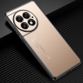 For OnePlus Ace 2 Pro Frosted Metal Phone Case(Gold)
