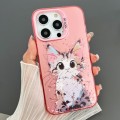 For iPhone 12 Pro Max Dual-sided IMD Animal Graffiti TPU + PC Phone Case(Elegant Cat)