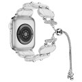 For Apple Watch SE 40mm Resin Retractable Chain Watch Band(Transparent)