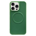 For iPhone 15 Pro 2 in 1 MagSafe Magnetic Silicone Leather Phone Case(Green)