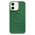 For iPhone 11 2 in 1 MagSafe Magnetic Silicone Leather Phone Case(Green)