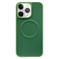 For iPhone 11 Pro 2 in 1 MagSafe Magnetic Silicone Leather Phone Case(Green)