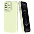For iPhone 12 Pro Fine Hole Dopamine PC Phone Case(Green)