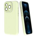 For iPhone 12 Pro Max Fine Hole Dopamine PC Phone Case(Green)
