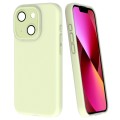 For iPhone 13 Fine Hole Dopamine PC Phone Case(Green)