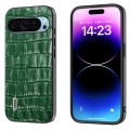 For Google Pixel 9 ABEEL Crocodile Texture Genuine Leather Phone Case(Green)