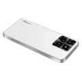 For Xiaomi 14 Pro AG Frosted Electroplating Acrylic Phone Case(Silver White)