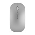 WIWU Wimic Lite WM102 2.4G Simple Office Home Rechargeable Mute Wireless Mouse(Silver)