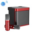 YS-203 Bluetooth Karaoke Speaker Wireless Microphone(Red)