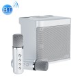 YS-203 Bluetooth Karaoke Speaker Wireless Microphone(Silver)