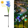 Simulated Lily Flower 4 Heads Solar Powered Outdoor IP55 Waterproof LED Decorative Lawn Lamp, Colorf