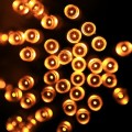 3m(Length) x 2m(Height)  LED Decoration Light, 200 LEDs Reticular String Light with End Joint & Mult